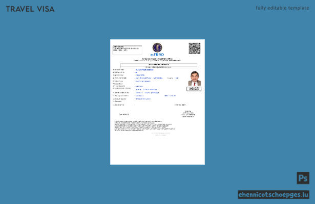 Indisches E-Visum in Word- und PDF-Formaten, Version 3 – Beispielvorschau